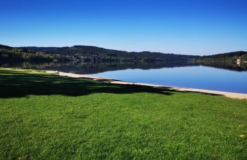 Lipno nad Vltavou Apartment | Apartmány Doky Lipno A9 a D1