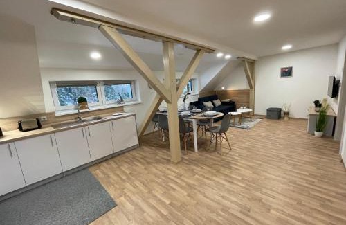 Jachymov Apartment | Apartmány Herc