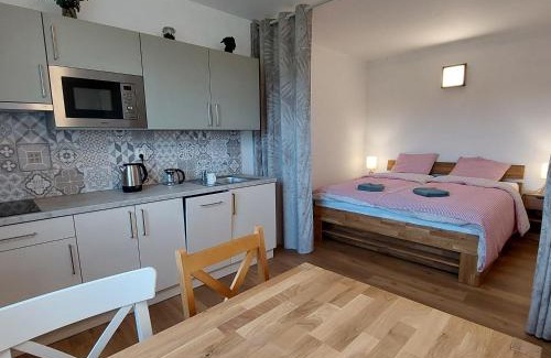 Branisov Apartment | Apartmány Hluchá Bašta s vnitřním bazénem