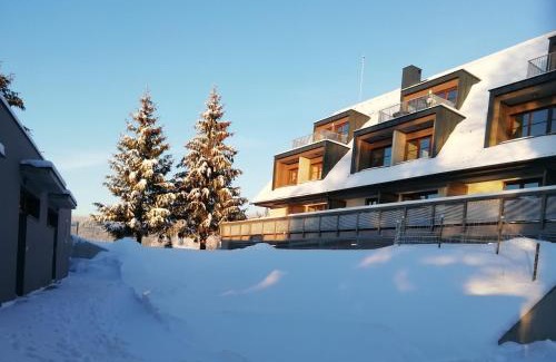 Ricky v Orlickych horach Apartment | Apartmány Julinka