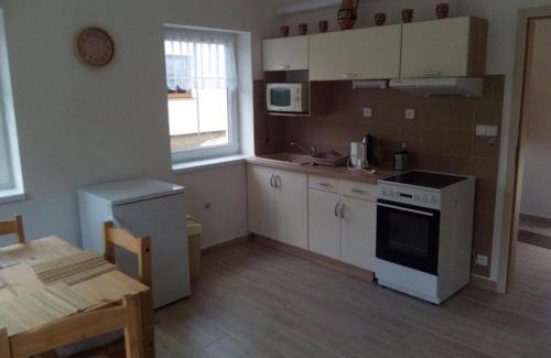 Josefov Dul Apartment | Apartmány Karlov 2
