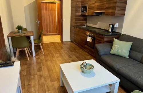 Teplice Apartment | Apartmány Laubeho náměstí