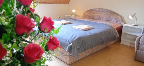 Ledec nad Sazavou Apartment | Apartmány Ledeč