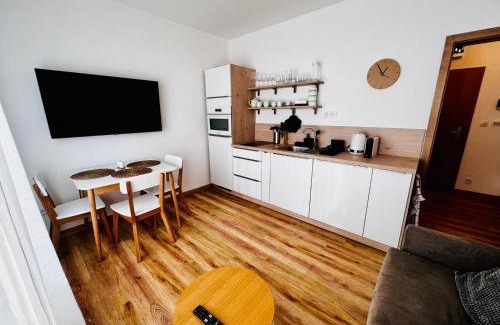 Cerna V Posumavi Apartment | Apartmány - Malé Lipno