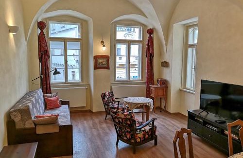 Slavonice Apartment | Apartmány na Trojmezí, byt Florián