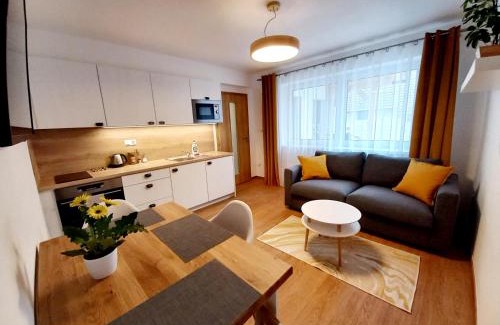 Bzenec Apartment | Apartmány Olšovská