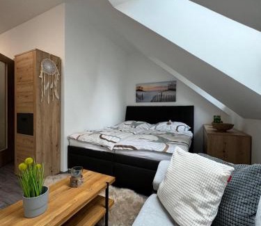 Cerna V Posumavi Apartment | Apartmány Rak Jestřábí