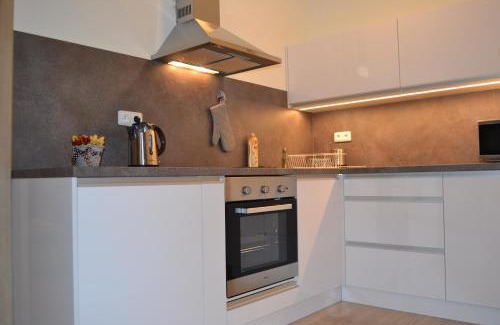 Loucna nad Desnou Apartment | Apartmány Rysí skála