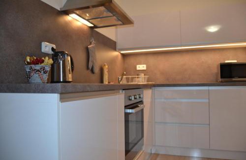 Loucna nad Desnou Apartment | Apartmány Rysí skála