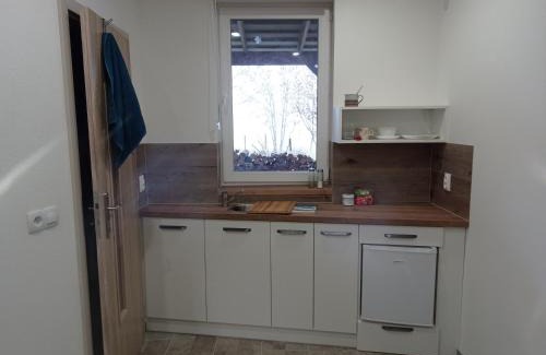 Pribram Apartment | Apartmány Skala