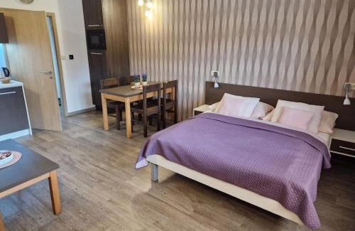 Velke Losiny Apartment | Apartmány Sophia 5 a 6