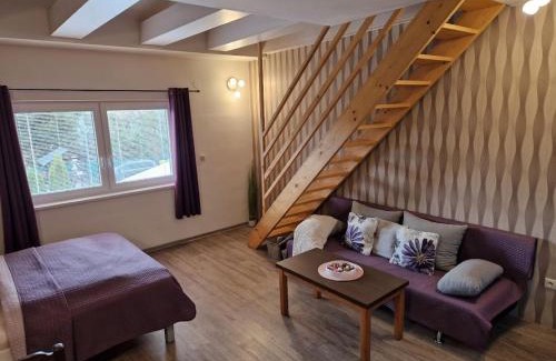 Velke Losiny Apartment | Apartmány Sophia 5 a 6