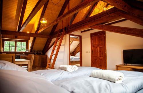 Zeliv Apartment | Apartmány Temechov