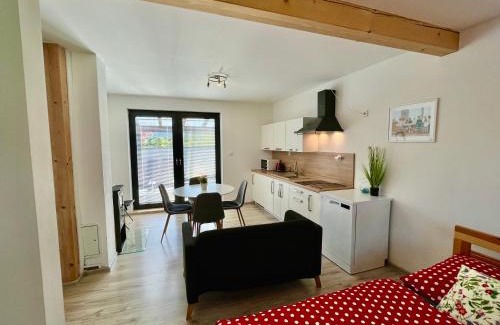 Dolni Lomna Apartment | Apartmány U Kempu