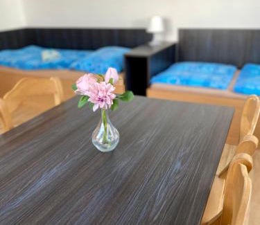 Kraliky Apartment | Apartmány u koupaliště