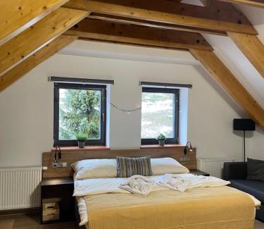 Spindleruv Mlyn Apartment | Apartmány Výsluní