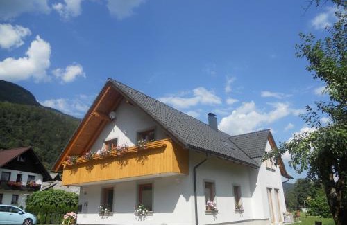 Srednja Vas v Bohinju Apartment | Apartma Momo