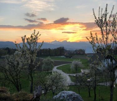 Radovljica House | Apartma Romana