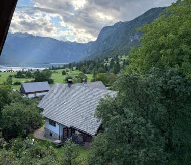 Studor Apartment | Apartmaji pr` Brdarju