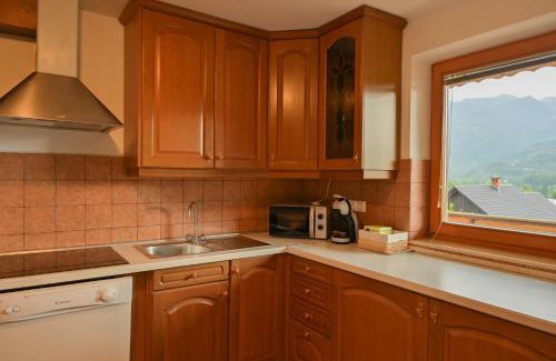 Studor Apartment | Apartmaji pr` Brdarju
