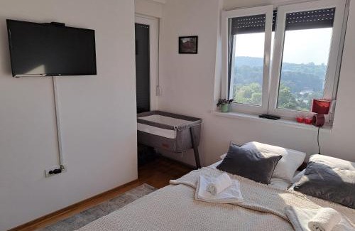 Vrnjacka Banja Apartment | Apartman 442