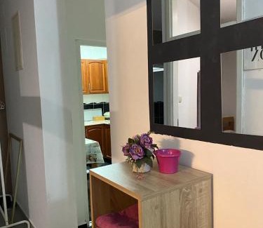 Mali Radic Apartment | Apartman A ART