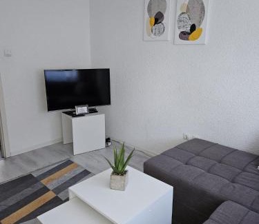 Mali Radic Apartment | Apartman Aladin