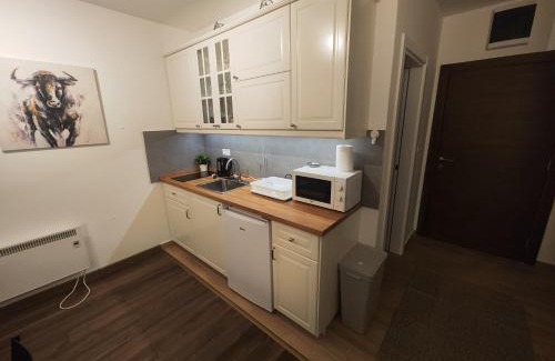 Lisina Apartment | Apartman Alastra AP 02 President Kop