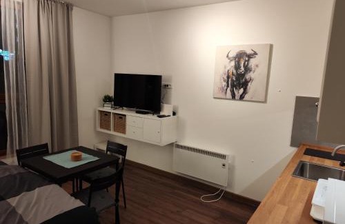 Lisina Apartment | Apartman Alastra AP 02 President Kop