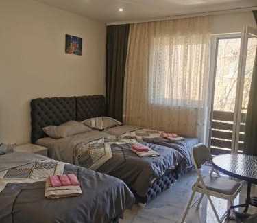 Central Serbia Apartment | Apartman Aleksandar 1