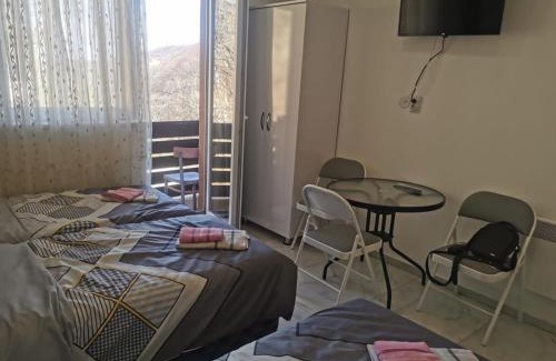Central Serbia Apartment | Apartman Aleksandar 1