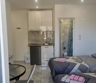 Central Serbia Apartment | Apartman Aleksandar 1