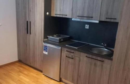 Kopaonik Apartment | apartman Aleksandar AS