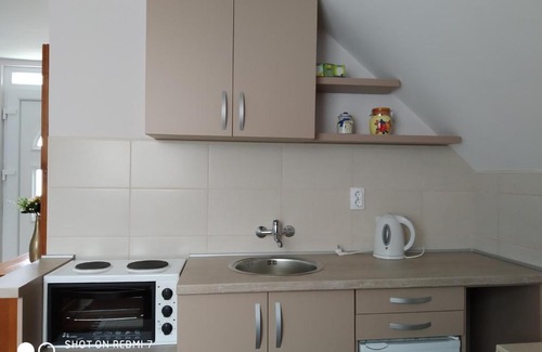 Mokra Gora House | Apartman Ana