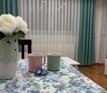 Doboj Apartment | Apartman Andjela Doboj