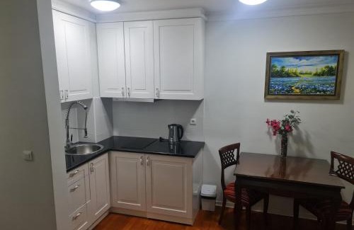 Vrnjacka Banja Apartment | Apartman Aria