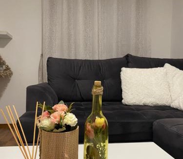Babanovac Apartment | Apartman Arya Vlasic