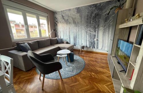 Grbavica Apartment | Apartman Avenia