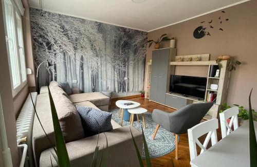 Grbavica Apartment | Apartman Avenia