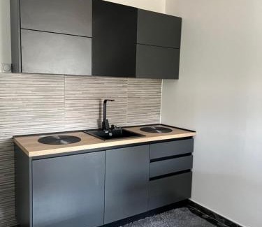 Kursumlija Apartment | Apartman Boža 1