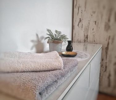Krusevac Apartment | Apartman Centar