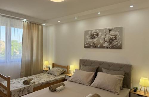 Apatin Apartment | Apartman Daca Apatin