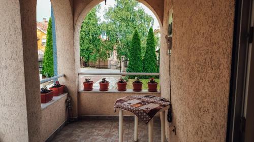 Valjevo Apartment | Apartman Davidović