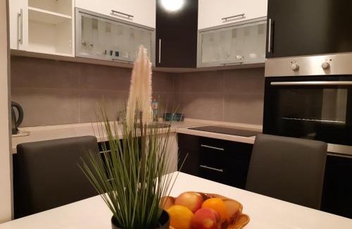 Banja Luka Apartment | Apartman DIJANA