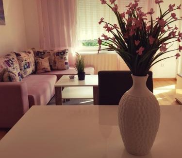 Banja Luka Apartment | Apartman DIJANA