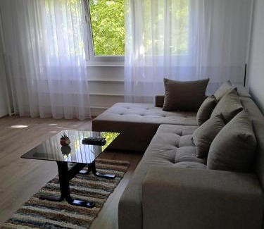 Subotica Apartment | Apartman Dijana