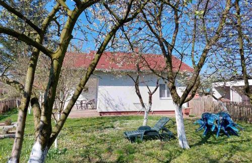 Bijeljina Apartment | Apartman Dijelovi