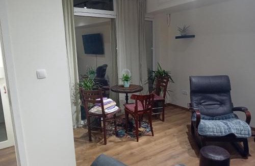 Vukov Spomenik Apartment | Apartman Dimitrijala 52