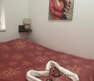 Sremska Mitrovica Apartment | Apartman Dionis SM 2