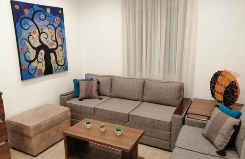 Vracar Apartment | Apartman Ekatarina